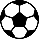 崔蕾津